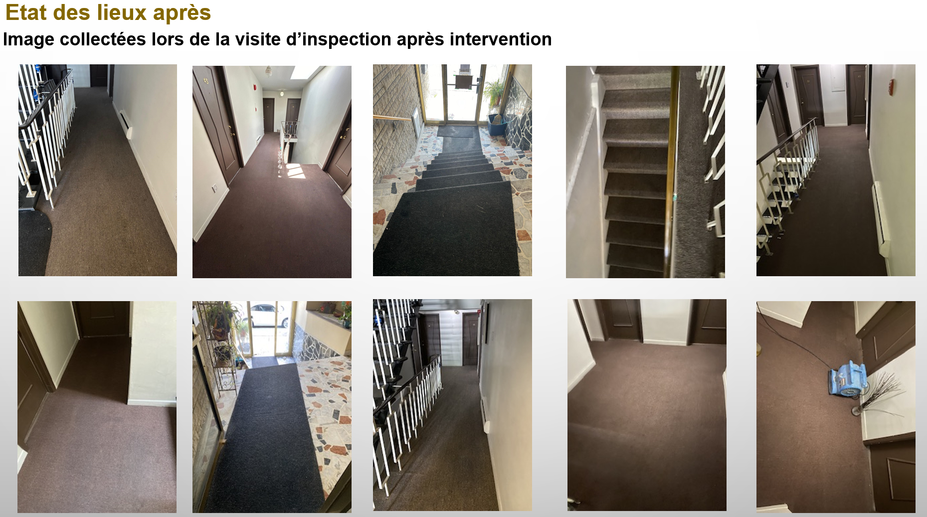 Nettoyage de tapis, photos prises après intervention d'un service de nettoyage professionnel à Montréal